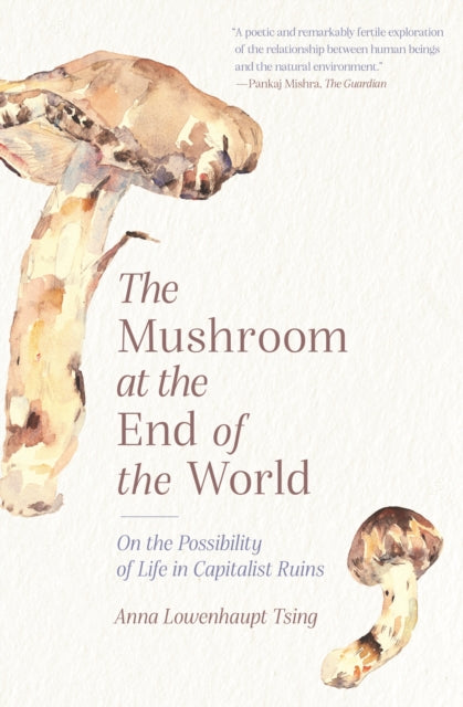 The Mushroom at the End of the World, Anna Lowenhaupt Tsing