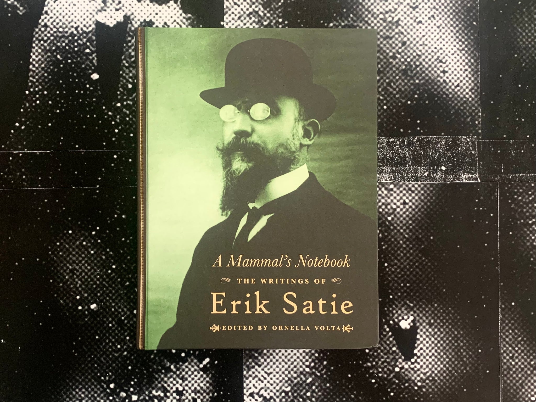 A Mammal's Notebook, Erik Satie & Ornella Volta