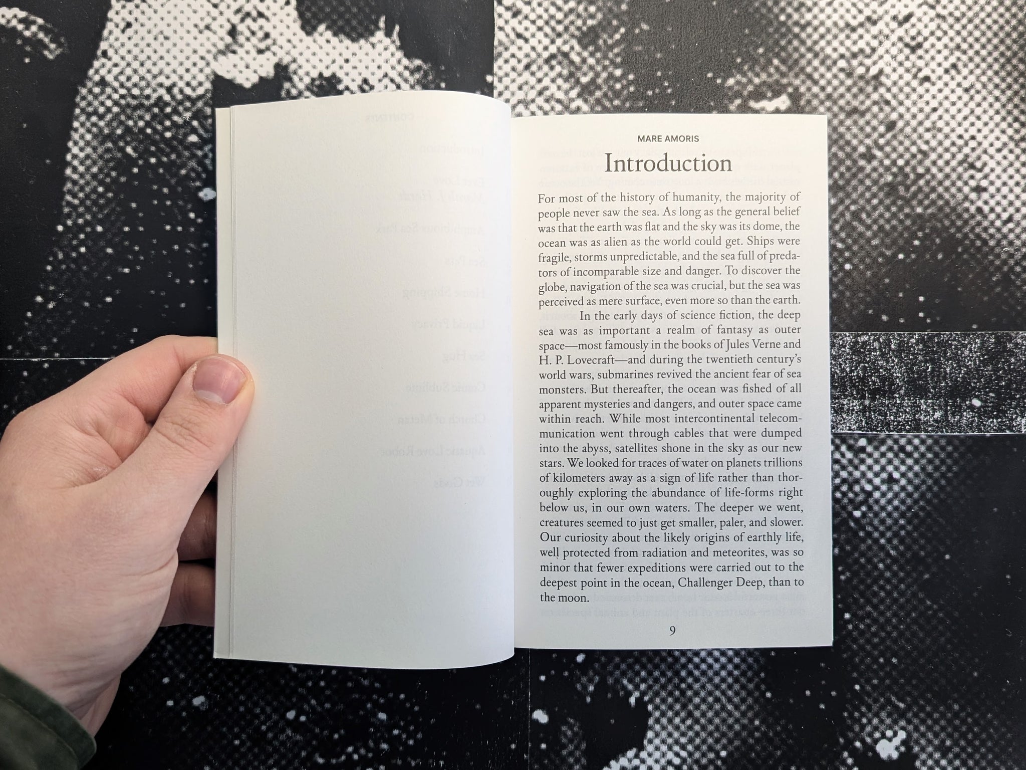 Solution 295–304 Mare Amoris, Ingo Niermann, Marah J.Hardt, Eduardo Navarro