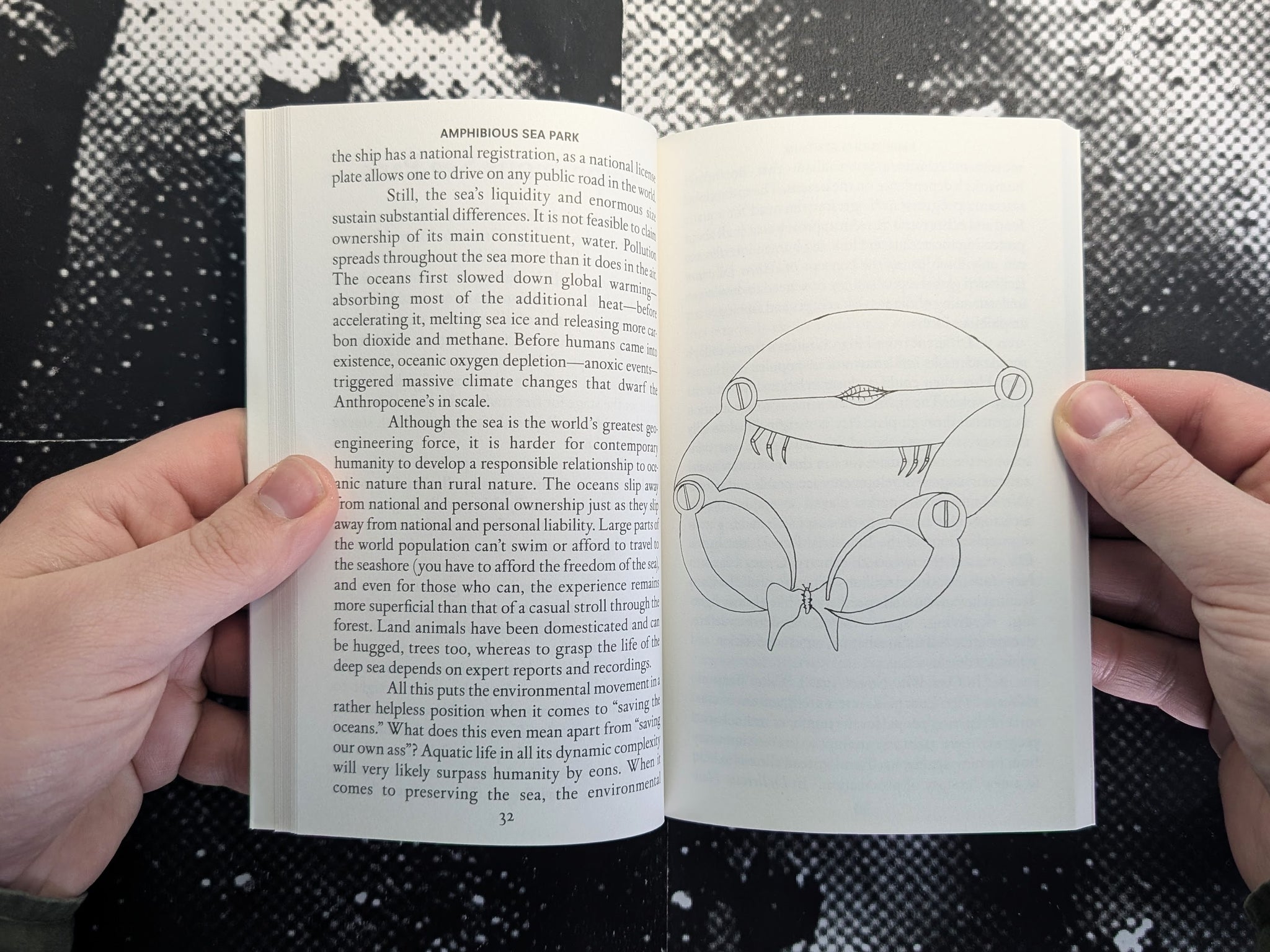 Solution 295–304 Mare Amoris, Ingo Niermann, Marah J.Hardt, Eduardo Navarro